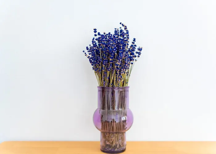 Rynek Cosy By Bookinghost * Wrocław